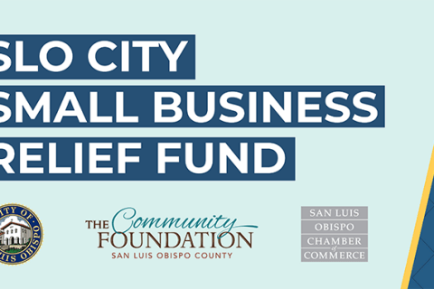 small business relief fund