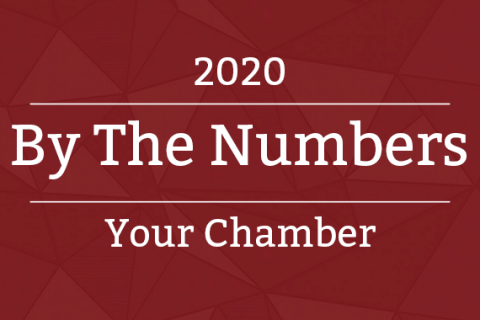 by the numbers 2020
